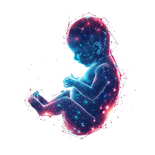 baby fetus womb removebg preview