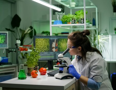biologist researcher analyzing biological slide for agriculture expertise