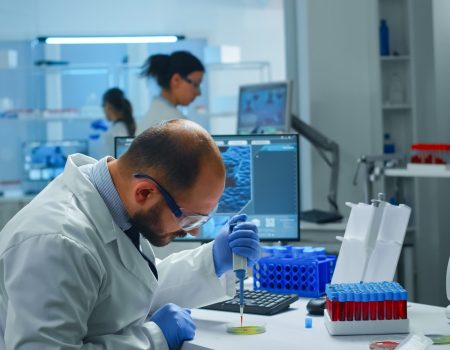 scientist examining drug discovery putting blood sample in petri dish with micropipette.